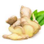 Fresh ginger (Zingiber officinale) with the leaf on white background. Commercial image of medicinal plant isolated with clipping path.