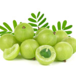 Indian gooseberry isolated on white background