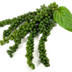 Fresh Green Peppercorns on white Background